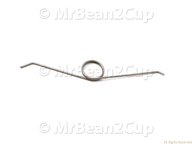 Picture of Gaggia Saeco SS Spring For CAM Pressurized Filterholder