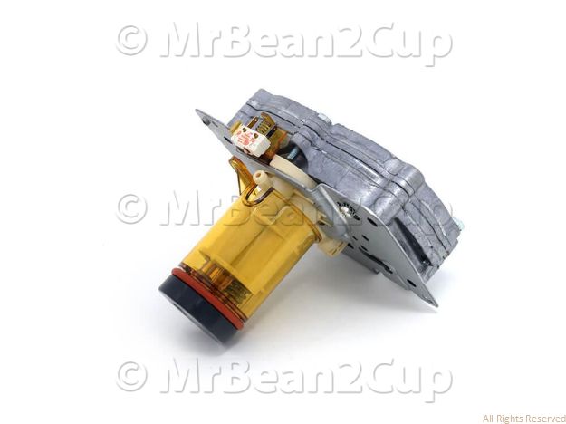 Picture of Delonghi Assy Boiler 600W 230V