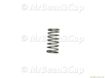 Picture of Gaggia Group Valve Seal and Spring