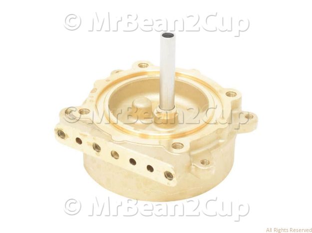 Picture of Gaggia CW510L Group Body + Dip Tube TG